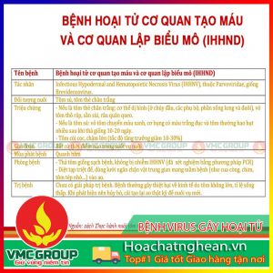 BỆNH VIRUS GÂY HOẠI TỬ DƯỚI VỎ VÀ CƠ QUAN TẠO MÁU (IHHNV) TRÊN TÔM - HCVMNA