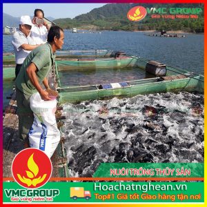 DANH MỤC KỸ THUẬT NUÔI THỦY SẢN- HCVMNA