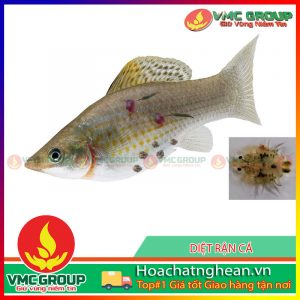 DIỆT RẬN CÁ - HCVMNA
