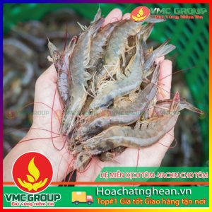 HỆ MIỄN DỊCH TÔM -VACXIN CHO TÔM - HCVMNA