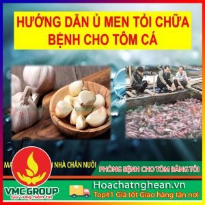 PHÒNG BỆNH CHO TÔM BẰNG TỎI HCVMNA