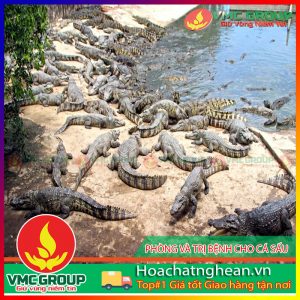 PHÒNG VÀ TRỊ BỆNH CHO CÁ SẤU HCVMNA