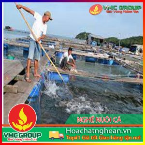 Bệnh trên cá nuôi mùa nước kiệt