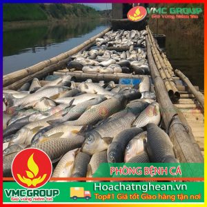 PHÒNG BỆNH CÁ