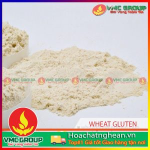 WHEAT GLUTEN CHẤT KẾT DÍNH