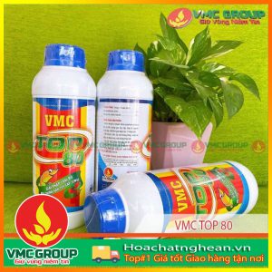 CUNG CẤP VMC TOP 80 – SÁT TRÙNG, DIỆT KHUẨN, NẤM, NGOẠI LÝ SINH TRÙNG, GIẢM TẢO ĐỘC TRONG AO NUÔI