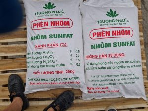 PHÈN NHÂM TRƯỜNG PHÁT