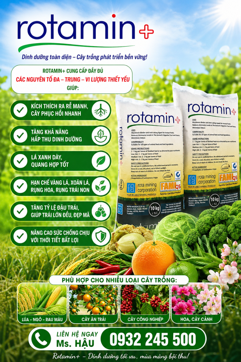KHOÁNG ĐA VI LƯỢNG ROTAMIN +