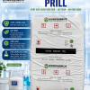 SODIUM BENZOATE PRILL