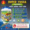 supper yucca
