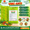 VMC ANTI